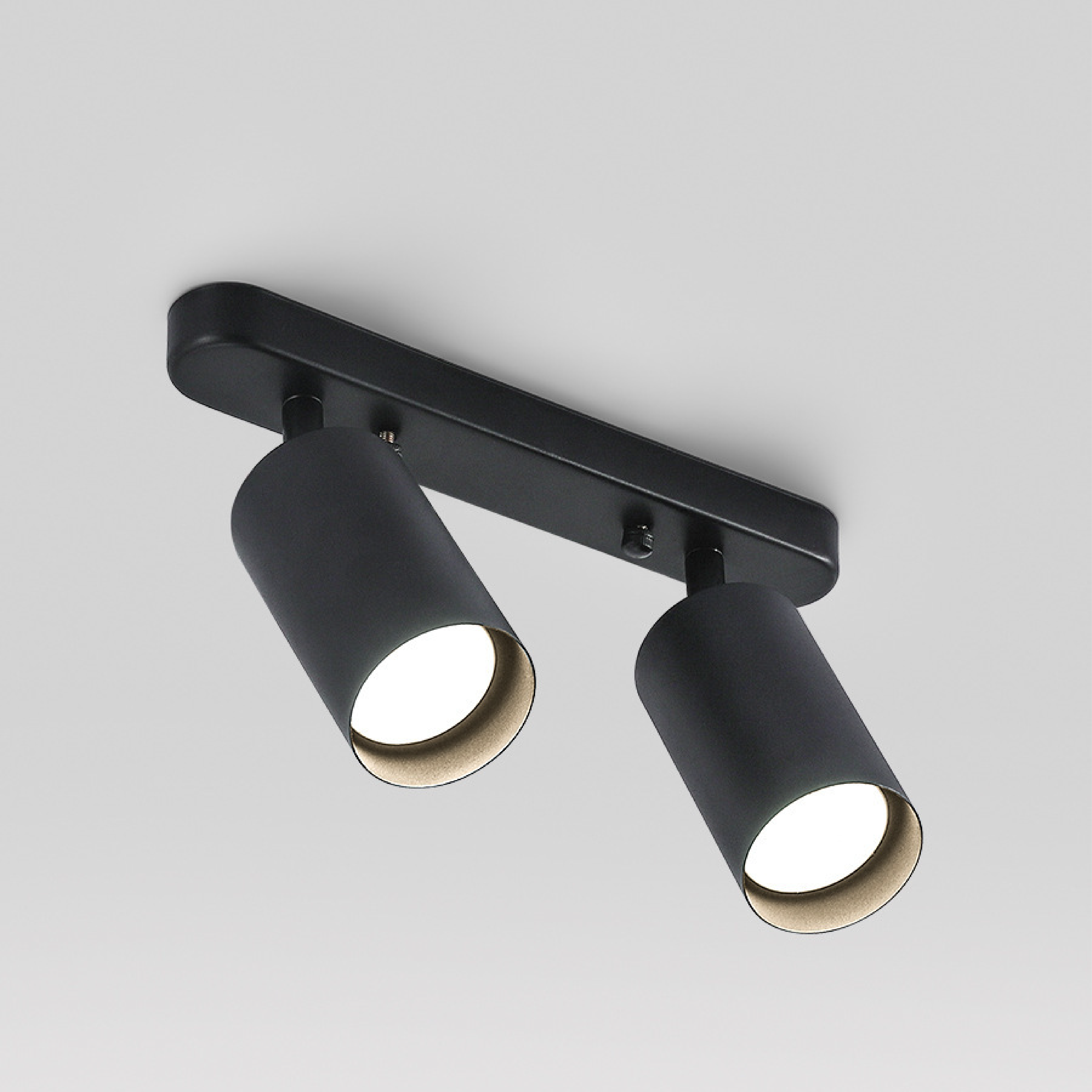 Draaibare 2-kops Spot Plafondlamp