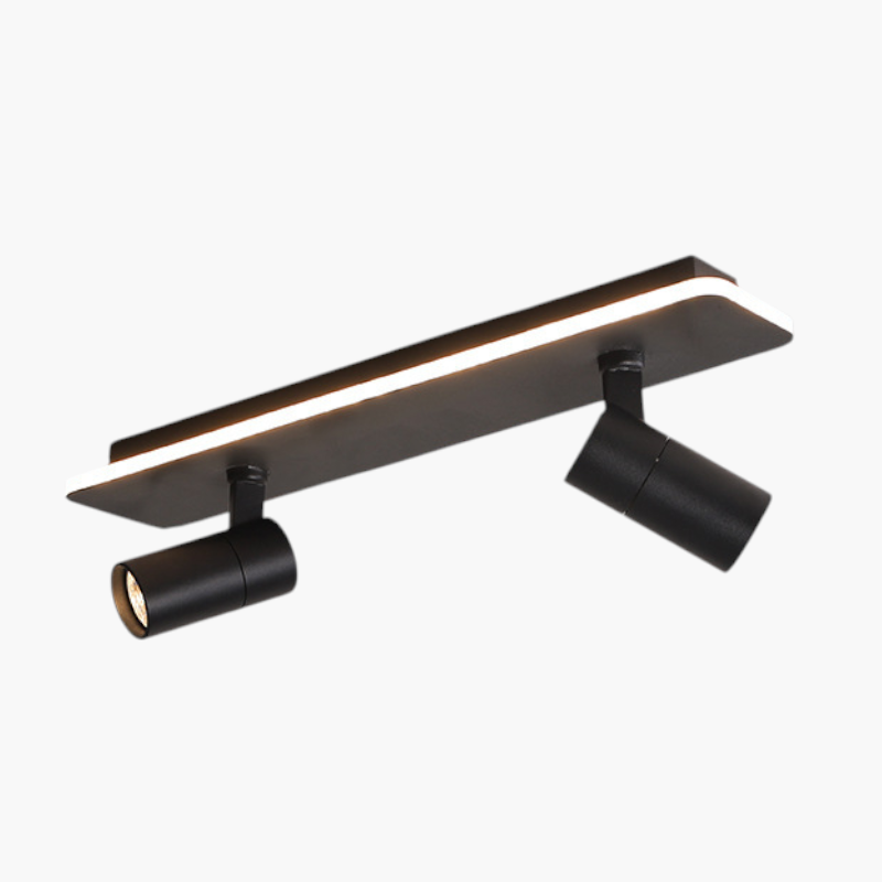 Meervoudige Spot Plafondlamp