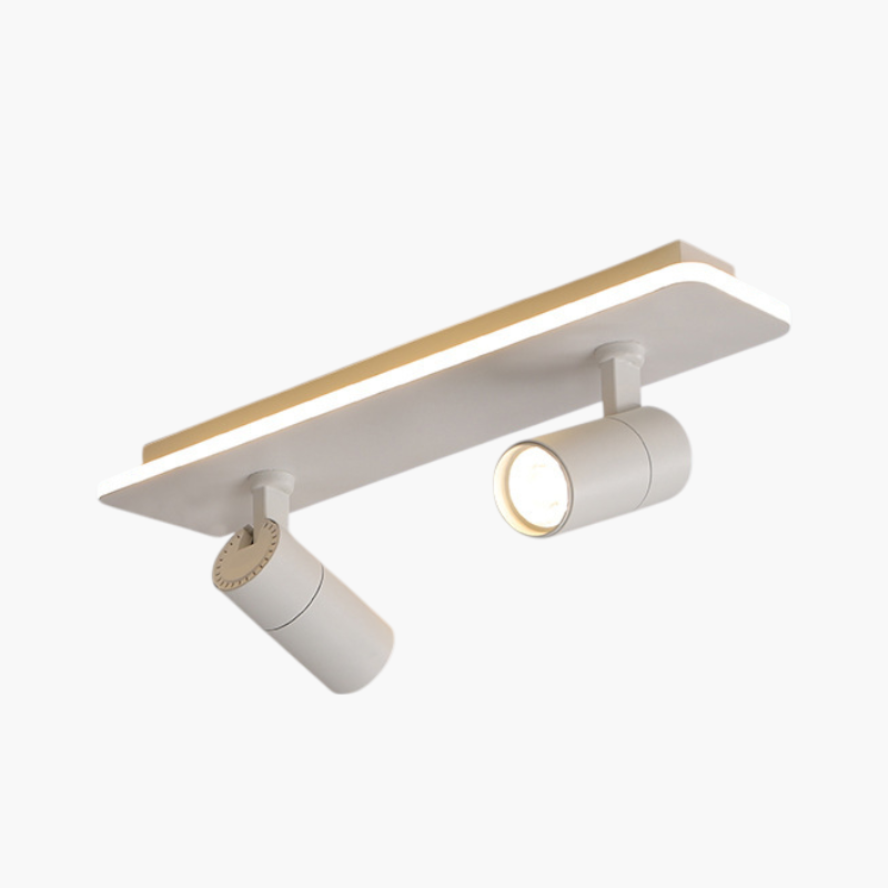 Meervoudige Spot Plafondlamp