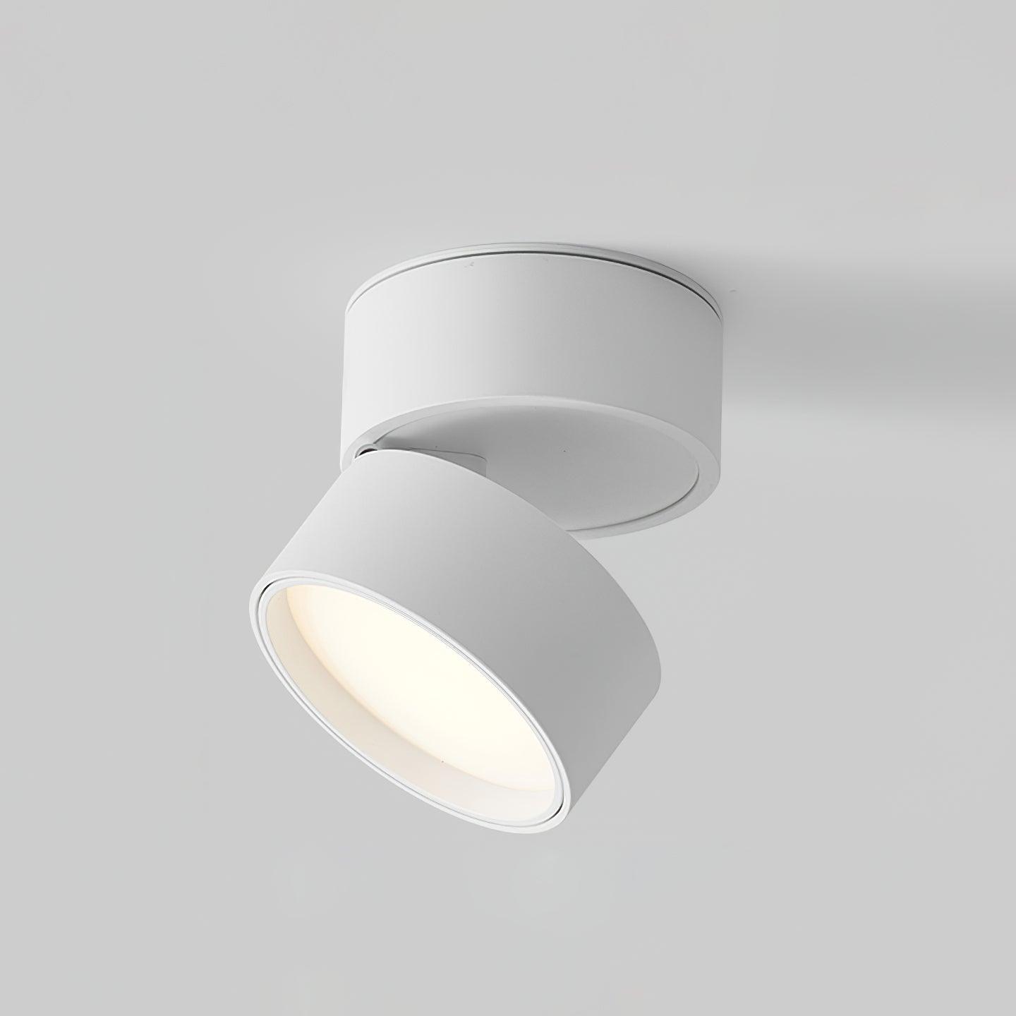 (2 pak) Oppervlakte Plafondlamp