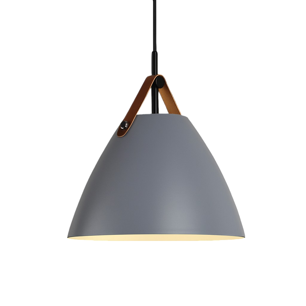 Scandinavische gekleurde hanglamp
