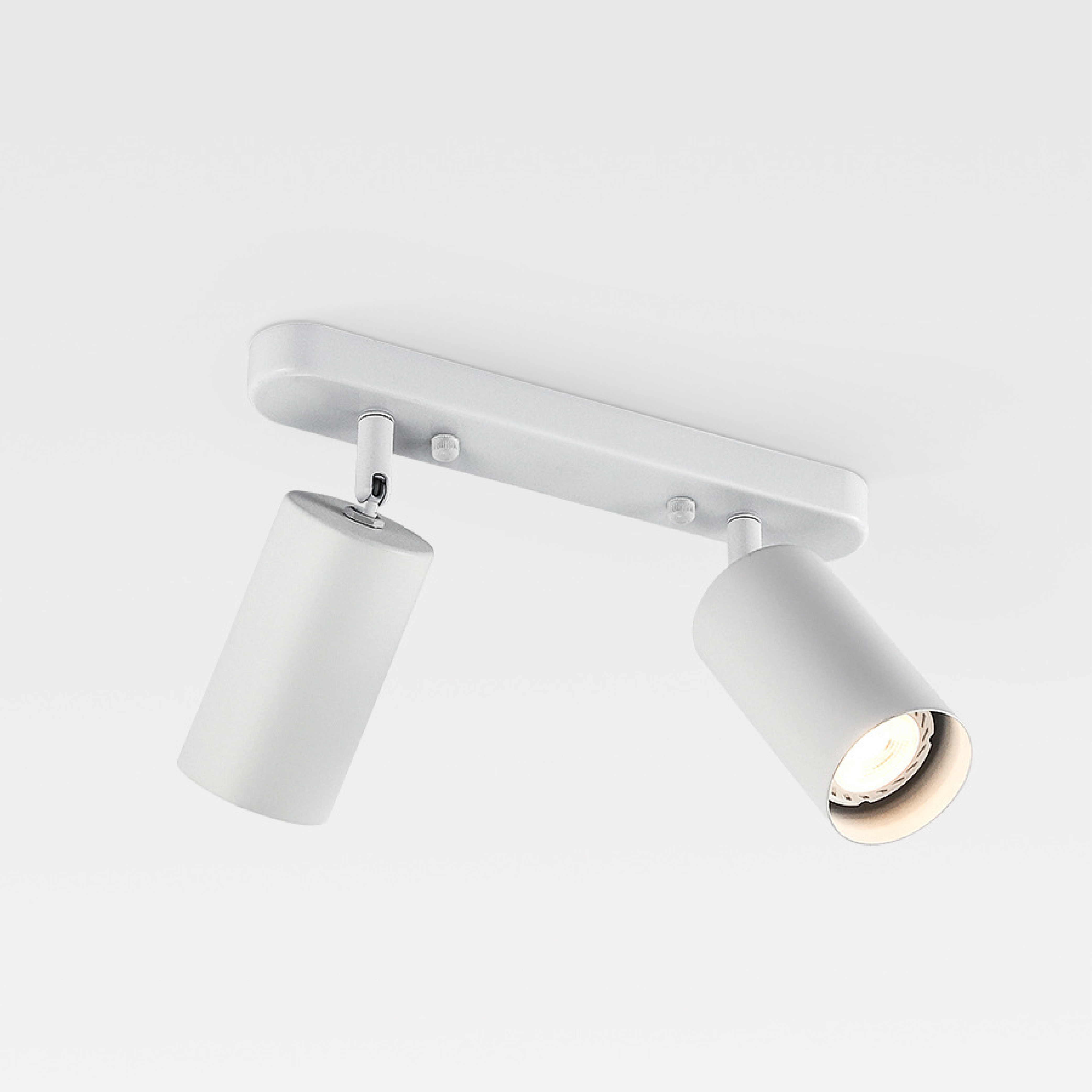 Draaibare 2-kops Spot Plafondlamp